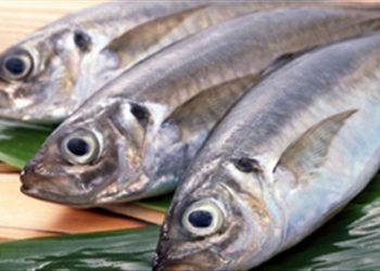Mách bà nội trợ mẹo đơn giản nhận biết cá bị nhiễm độc hay không nhiễm độc