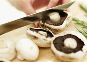 Mẹo chọn mua, sử dụng và bảo quản nấm mọi người nên biết