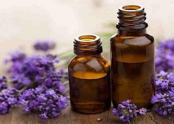 Cách đuổi muỗi tự nhiên an toàn không dùng hóa chất