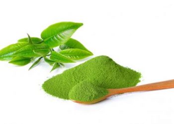 Trà xanh giúp hệ thống xương khớp thêm khỏe mạnh hơn