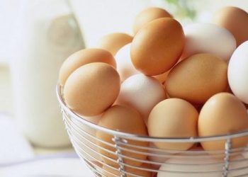 Cách chọn trứng tươi ngon và đảm bảo 100% chất lượng
