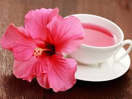 Mách nhỏ bạn những lợi ích vô cùng tuyệt vời của trà dâm bụt