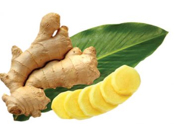 Chữa đầy hơi bằng thực phẩm có sẵn vô cùng hiệu quả