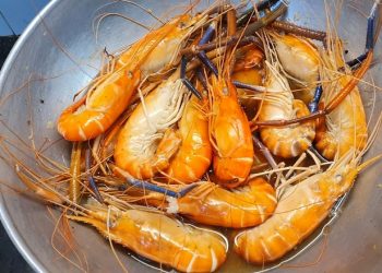 Tôm luộc: 4 cách thực hiện thơm lừng, hấp dẫn với nước chấm cực bắt