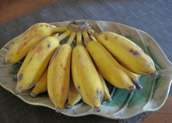 Chuối sứ có tác dụng gì? Những món ăn ngon, thức uống từ chuối sứ tốt cho sức khỏe