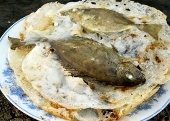 Cá kình là cá gì? 2 món ăn ngon, đặc sản làm từ cá kình của người dân xứ biển
