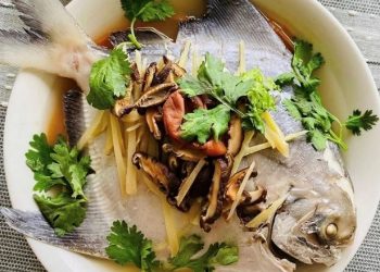 Cá chim trắng là cá gì? Có tác dụng thế nào và những món ăn ngon ngọt, béo thơm đặc biệt