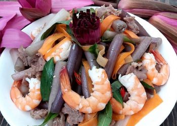 Bông súng có tác dụng gì? – Những món ngon dân dẫn từ bông súng đậm chất Tây Nam Bộ