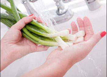 Mách nhỏ các bà nội trợ mẹo rửa mọi loại rau sạch và đúng cách
