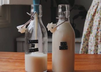 Bật mí cách làm sữa yến mạch bằng máy ép chậm đơn giản, bùi béo
