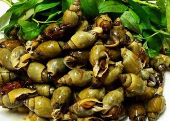 Cách làm ốc cà na xào sa tế thơm ngon, chuẩn vị nhà hàng