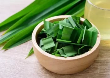 Cách nấu xôi lá dứa cực kỳ đơn giản bằng nồi cơm điện!