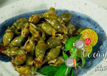 Công thức làm ốc cà na xào tắc thơm lừng, hấp dẫn vô cùng