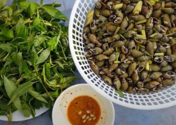 Mách bạn cách làm ốc cà na hấp sả bồi bổ cả nhà vào ngày mưa