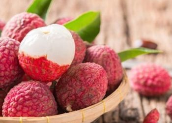 Tác dụng đối với sức khoẻ, phân loại và cách chế biến