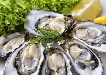 Tổng hợp các món ngon từ hàu béo thơm, bổ dưỡng