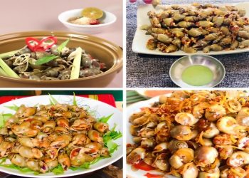 Tổng hợp các món ngon từ ốc cà na đơn giản, dễ làm tại nhà
