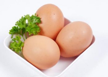Mách bạn cách bảo quản trứng gà được lâu ngày nhất