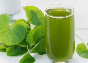 Công dụng tuyệt vời của đậu xanh và những món nước ngon, mới lạ từ đậu xanh