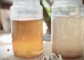 Học ngay ba cách làm sạch nước bẩn đơn giản sau bão lũ