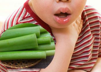 09 cách chế biến dọc mùng thành món ngon đơn giản cho bạn