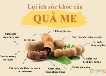 10 Lợi ích hàng đầu của quả me đối với sức khỏe