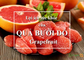 10 Lợi ích sức khỏe tuyệt vời của bưởi đỏ Grapefruit