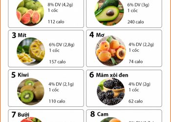 12 Loại trái cây cung cấp protein tốt nhất cho cơ thể