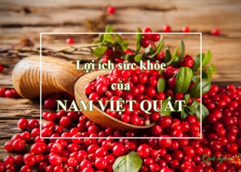 5 Lợi ích sức khỏe hàng đầu của nam việt quất