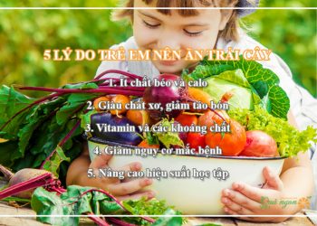 5 Lý do trẻ em nên bổ sung trái cây vào chế độ ăn uống