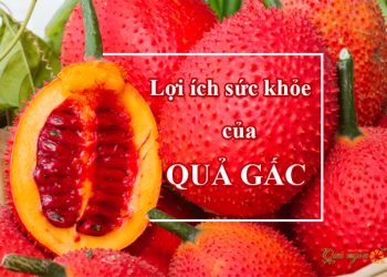7 Lợi ích tuyệt vời của quả gấc đối với sức khỏe và làn da