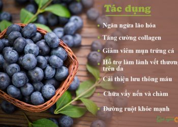 7 Tác dụng bất ngờ của quả việt quất đối với làn da