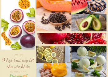 9 loại hạt trái cây đem lại lợi ích rất tốt cho sức khỏe