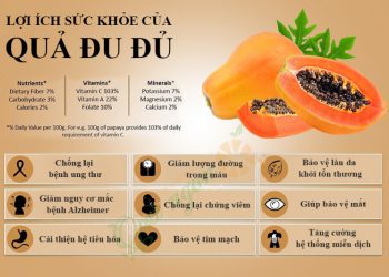 9 Lợi ích tốt nhất mà đu đủ đem lại cho sức khỏe