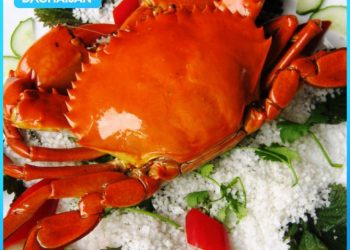Bà bầu ăn ghẹ được không? Dinh dưỡng của ghẹ đối với thai kỳ