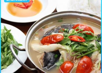 Bật mí cách nấu cá tầm nấu canh chua thanh mát giải nhiệt mùa hè