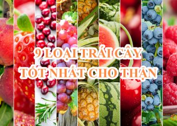 Các loại trái cây tốt nhất cho thận mà người suy thận nên ăn