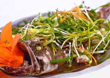 Cách chế biến cá song với 8 món ăn ngon hấp dẫn