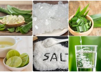 Cách nấu nha đam đường phèn lá dứa thơm mát để giải nhiệt