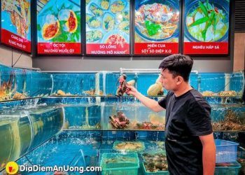 Cua Cà Mau tươi sống bắt tại hồ chỉ 285k/con free chế biến
