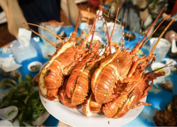 Đến Nha Trang không thể bỏ lỡ hải sản ở 9 địa điểm này