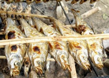 Đi Mộc Châu ăn gì? Top 12 món ngon “ăn là ghiền”