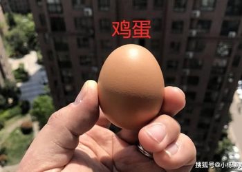 Dinh dưỡng của trứng gà, trứng vịt và trứng ngỗng có gì khác nhau?