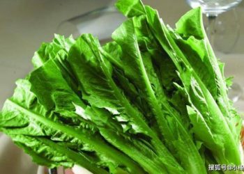 Đừng coi thường rau xào, nó chứa lượng canxi còn cao hơn cả tôm