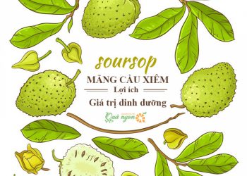 Giá trị dinh dưỡng và lợi ích sức khỏe của mãng cầu xiêm