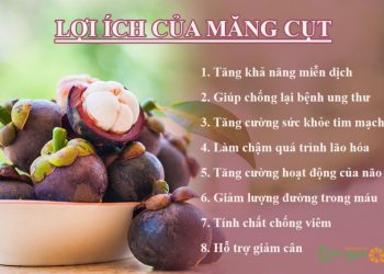 Giá trị dinh dưỡng và những lợi ích bất ngờ của măng cụt