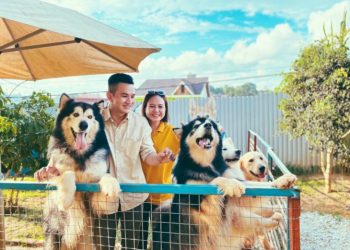 ‘Hóa con sen’ tại 5 tiệm cafe chó Đà Lạt đang gây sốt