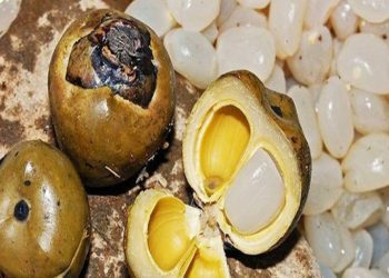 List 9 cách chế biến hạt đác đơn giản tại nhà