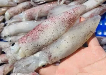 Lưu ngay công thức làm mực chiên nước mắm ngon, đơn giản tại nhà!