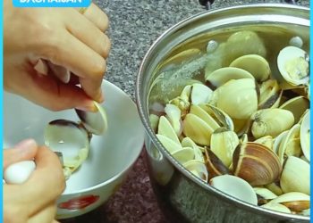 Mẹ bầu ăn nghêu được không? Lưu ý khi ăn nghêu (ngao) an toàn cho mẹ bầu